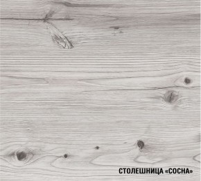 АСАЯ Кухонный гарнитур Экстра (3000 мм) в Троицке - troick.mebel-74.com | фото