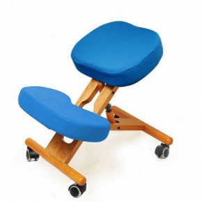 Коленный стул Smartstool KW02 + Чехлы в Троицке - troick.mebel-74.com | фото