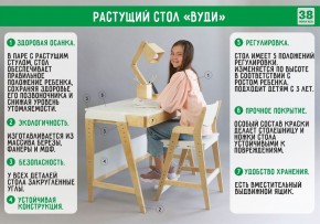 Комплект растущий стол и стул 38 попугаев «Вуди» (Серый, Без покрытия) в Троицке - troick.mebel-74.com | фото