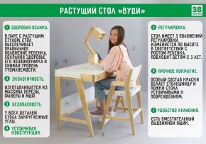 Комплект растущий стол и стул с чехлом 38 попугаев «Вуди» (Белый, Белый, Салют) в Троицке - troick.mebel-74.com | фото
