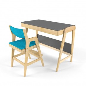 Комплект растущий стол и стул с чехлом 38 попугаев «Вуди» (Серый, Без покрытия, Лазурь) в Троицке - troick.mebel-74.com | фото