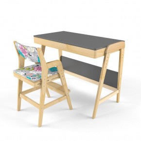 Комплект растущий стол и стул с чехлом 38 попугаев «Вуди» (Серый, Без покрытия, Мечта) в Троицке - troick.mebel-74.com | фото