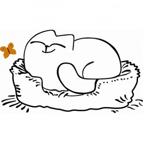 Кровать двухуровневая Кот № 900.1 ЛЕВАЯ (туя светлая/белый) в Троицке - troick.mebel-74.com | фото