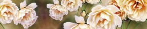 Кухонный фартук Цветы 066 МДФ матовый (3000) Flowers в Троицке - troick.mebel-74.com | фото