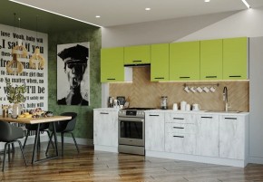 Кухонный гарнитур Гарда 3000 (Стол. 26мм) в Троицке - troick.mebel-74.com | фото