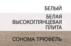 Шкаф 2D/TYP 20A, LINATE ,цвет белый/сонома трюфель в Троицке - troick.mebel-74.com | фото