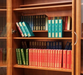 Шкаф для книг арт. 200 в Троицке - troick.mebel-74.com | фото