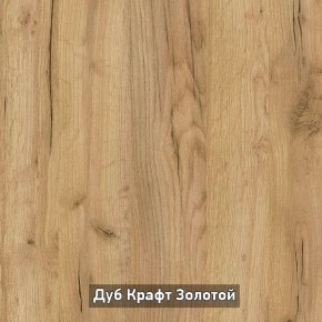 Шкаф купе без зеркала "Ольга-Лофт 10.1" в Троицке - troick.mebel-74.com | фото
