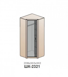 Шкаф ШЕР Дуб серый/айронвуд серебро (ШК-2321) в Троицке - troick.mebel-74.com | фото