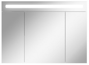 Шкаф-зеркало Аврора 100 с подсветкой LED Домино (DV8012HZ) в Троицке - troick.mebel-74.com | фото