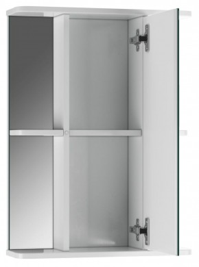 Шкаф-зеркало Норма 2-50 правый АЙСБЕРГ (DA1608HZ) в Троицке - troick.mebel-74.com | фото