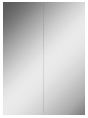 Шкаф-зеркало Норма 50 2 двери АЙСБЕРГ (DA1636HZ) в Троицке - troick.mebel-74.com | фото