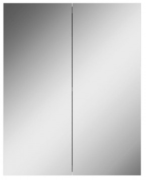 Шкаф-зеркало Норма 55 2 двери АЙСБЕРГ (DA1638HZ) в Троицке - troick.mebel-74.com | фото