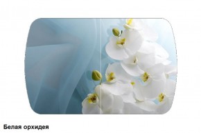 Стол Бостон 900*600 (опоры Брифинг) Стекло/фотопечать Белая Орхидея в Троицке - troick.mebel-74.com | фото