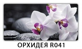 Стол обеденный Трилогия с фотопечатью Орхидея R041 в Троицке - troick.mebel-74.com | фото