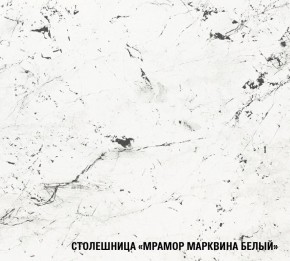 ТЕРЦИЯ Кухонный гарнитур Экстра 5 (3000 мм) в Троицке - troick.mebel-74.com | фото